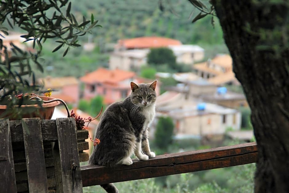 B&B A Casa di Silvia