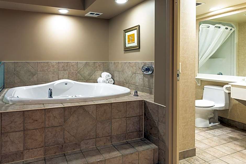 Royal Hotel West Edmonton, Trademark Collection by Wyndham