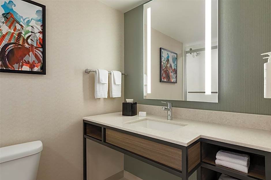 Hilton Garden Inn Atlanta Downtown