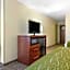 Comfort Inn Downtown Lookout Mountain Chattanooga