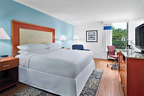 Accessible King Size Bed