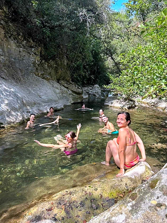 The Frogs House - Yoga Retreat