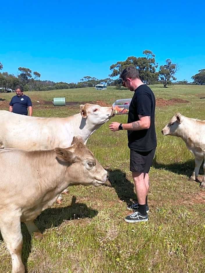 Sandalwood Downs Fabulous Farm Stay TOODYAY