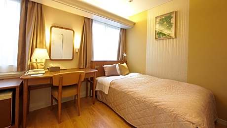 Superior room semi-double 13 square meters