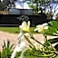 Lutwala Bungalows and Private Villa