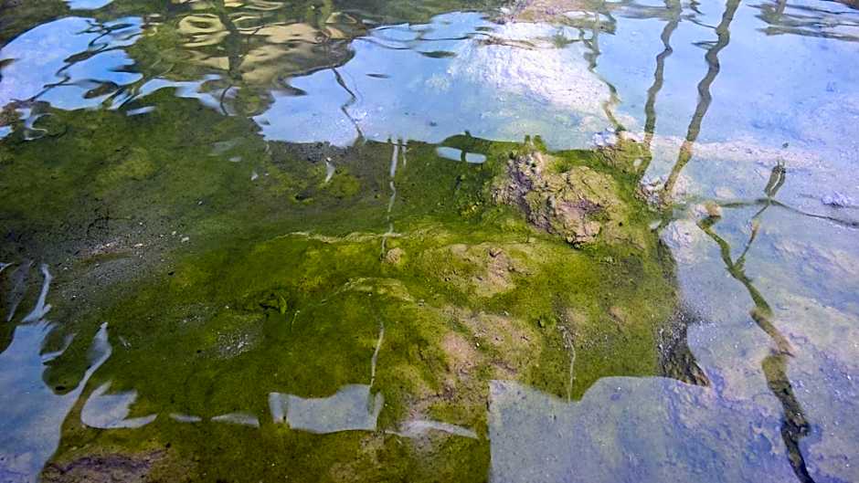 Hotel Terme Belvedere