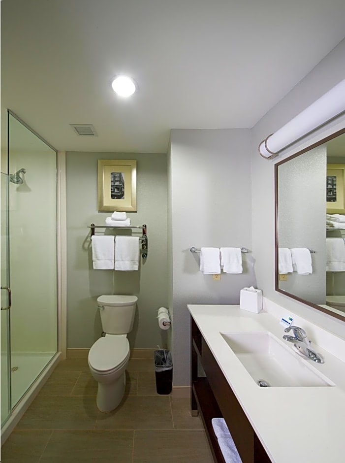 Holiday Inn Express & Suites Oklahoma City Downtown - Bricktown, an IHG Hotel