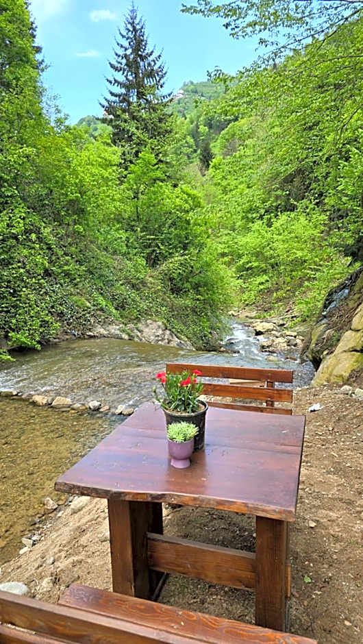 Muradland منتجع فيلات الوادي الأخضر