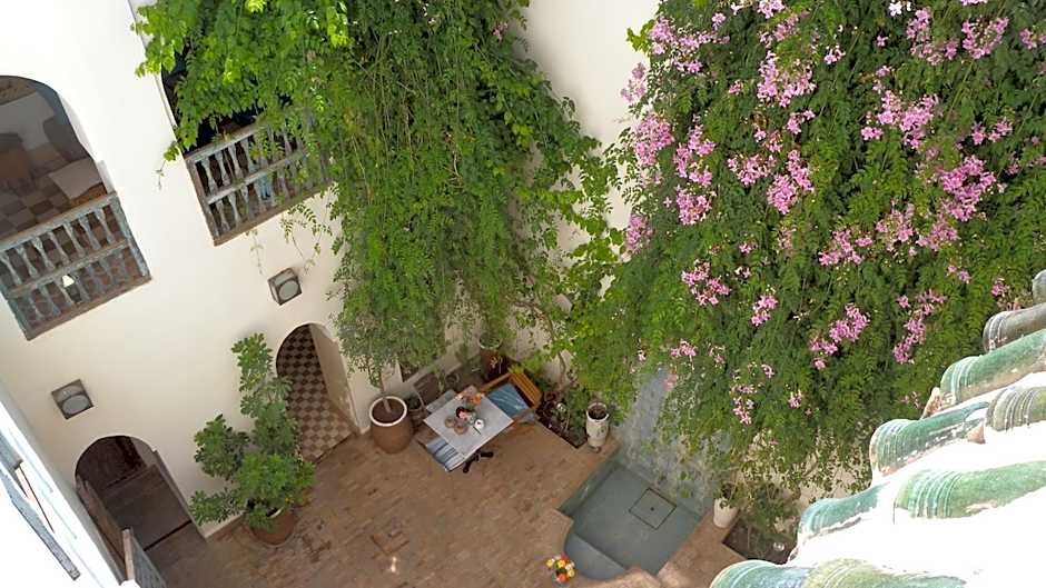 Riad Le Coq Berbère