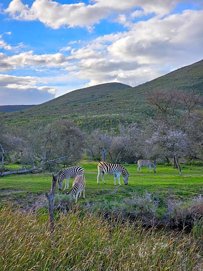 Garden Route Safari Camp