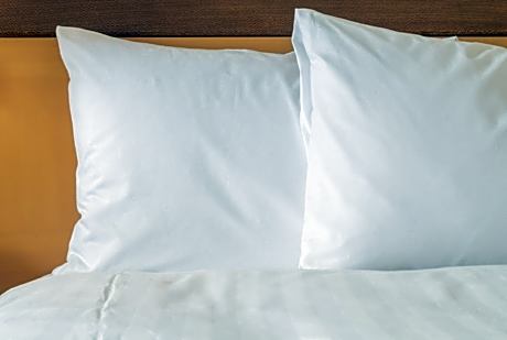 1 King Bed Efficiency Suite Nonsmoking