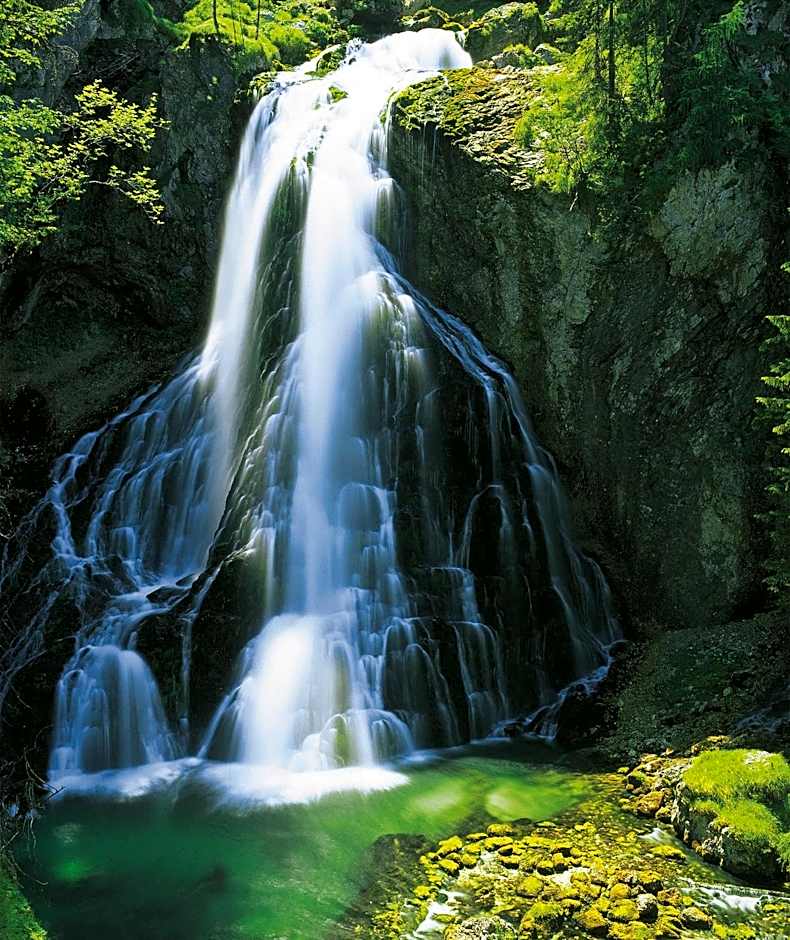 Gasthof Hotel Hauslwirt