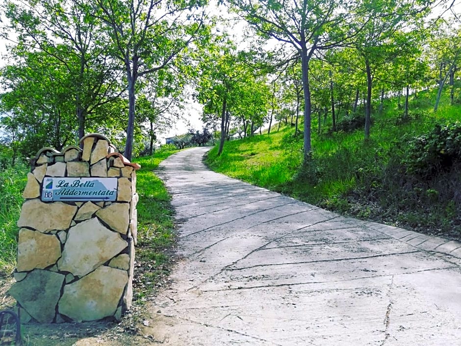 La Bella Addormentata