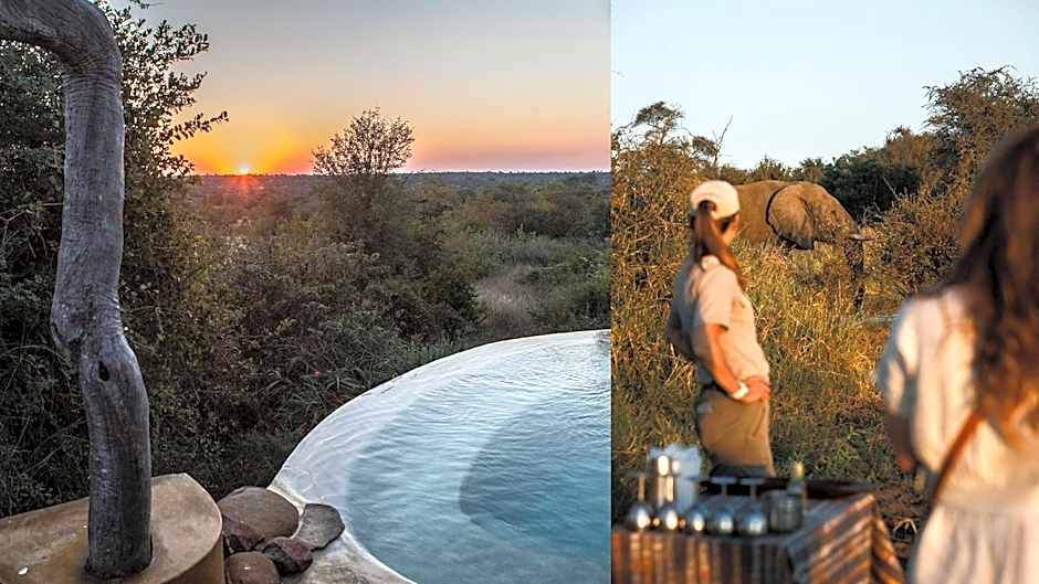 Geiger's Camp in Timbavati Game Reserve by NEWMARK