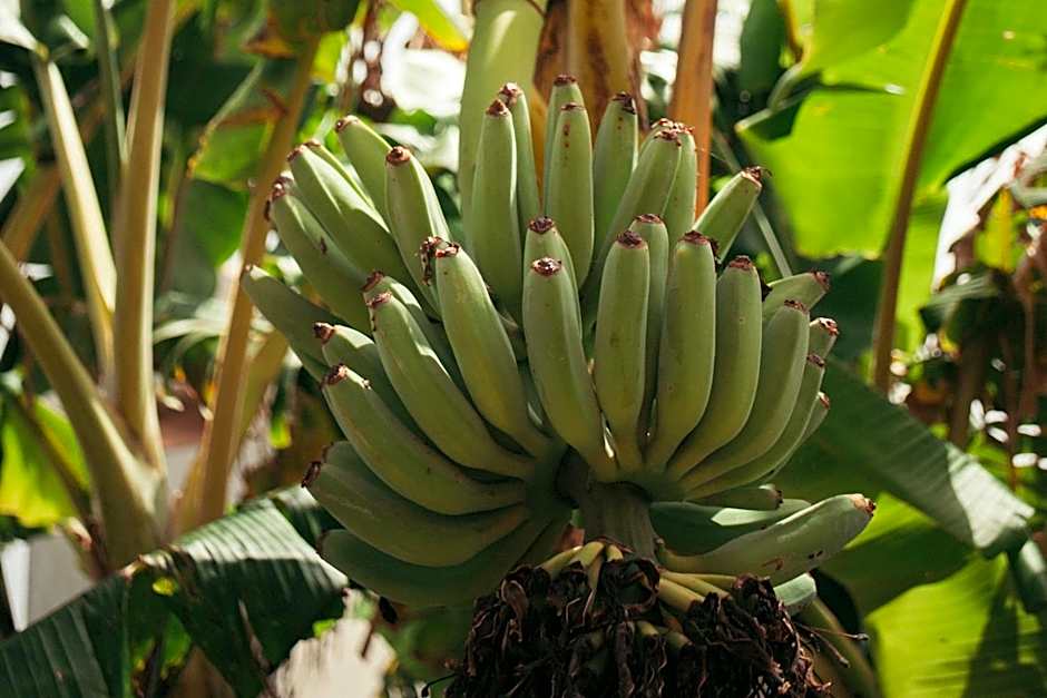 Ericeira Destination