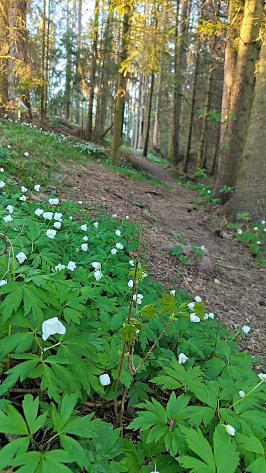 Gästhem Jomala Gård