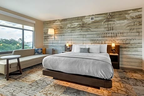 1 King Bed, No Smoking