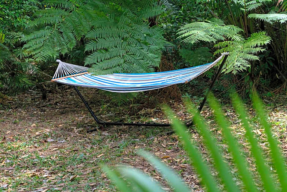 mist at Cape Tribulation