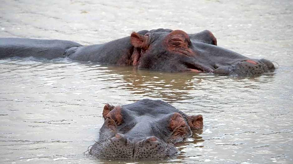 Limpokwena Nature Reserve