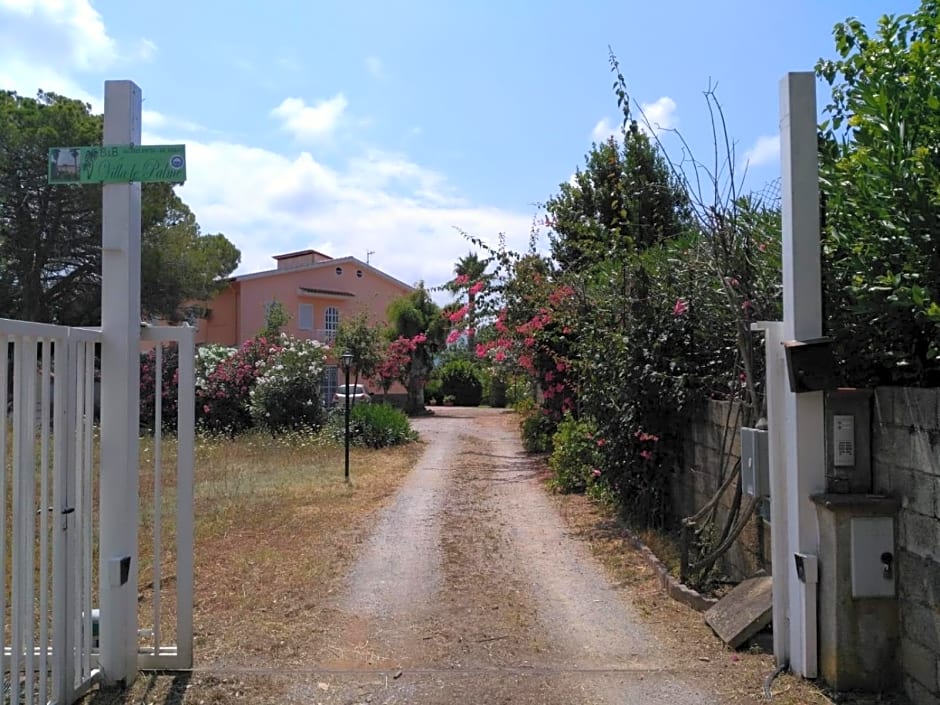B&B Villa Le Palme Scalea