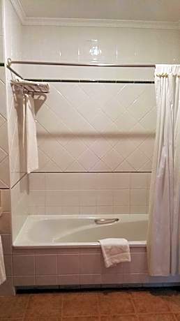 Superior Family Room (3 Adults + 1 Child)