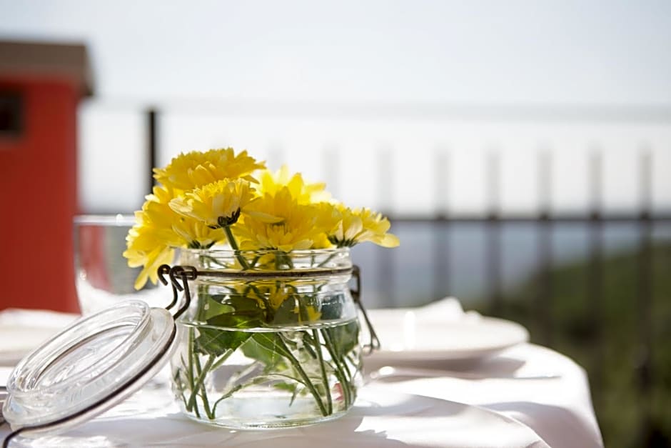 B&B Spring