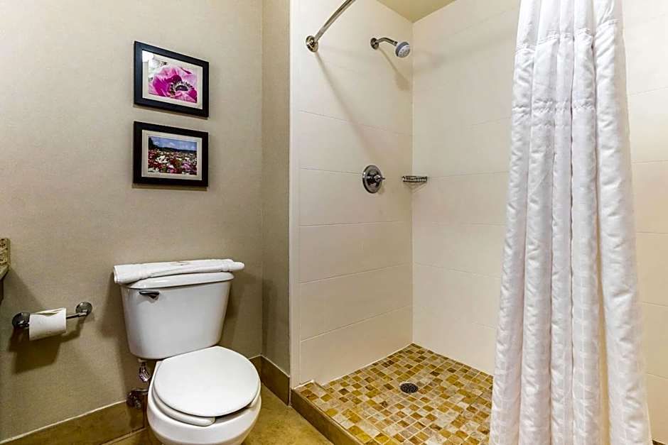 Comfort Suites Gastonia - Charlotte