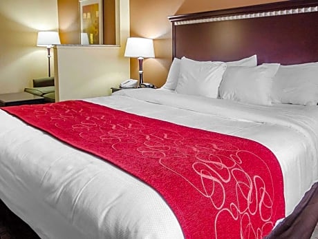 1 Bedroom Suite