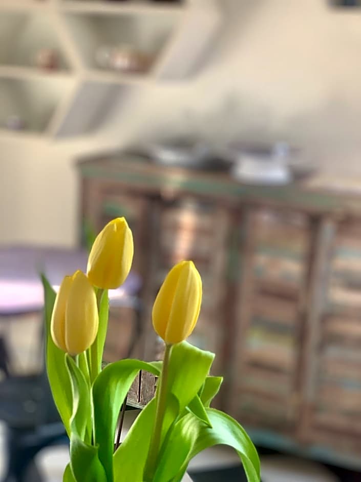 HABITARE Lecce & Salento