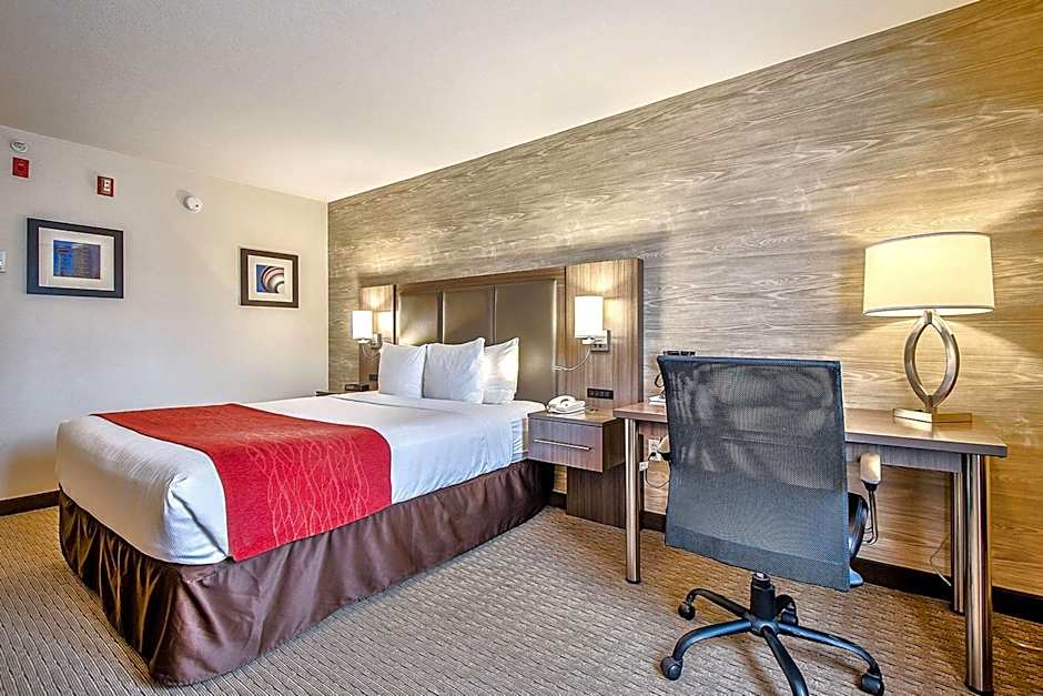 Comfort Inn And Suites South