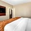 Comfort Suites Auburn near I-69