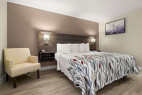 Deluxe King Room Disability Access Roll-In Shower Non-Smoking