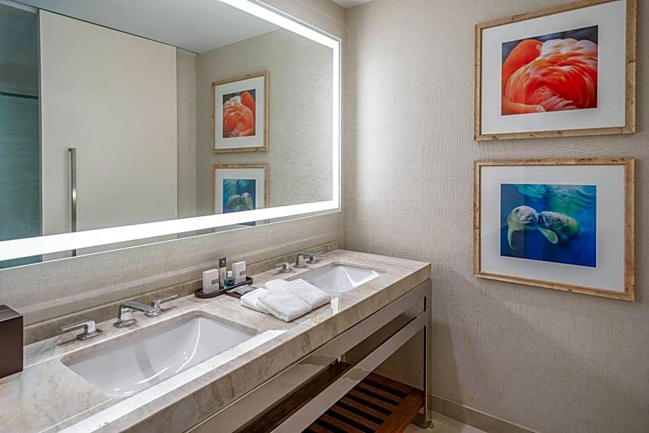 Gaylord Palms Resort & Convention Center