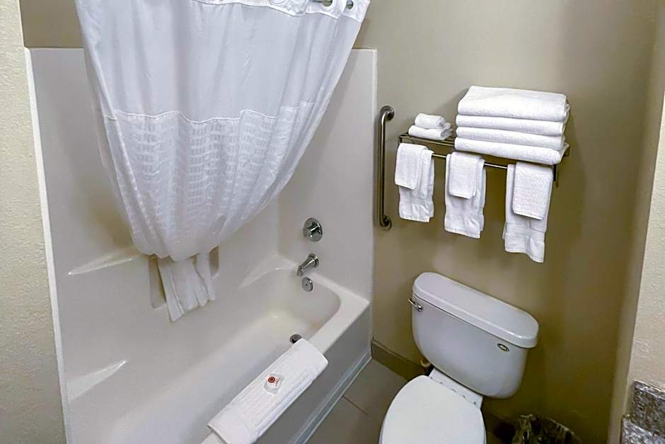 Comfort Inn & Suites Midtown