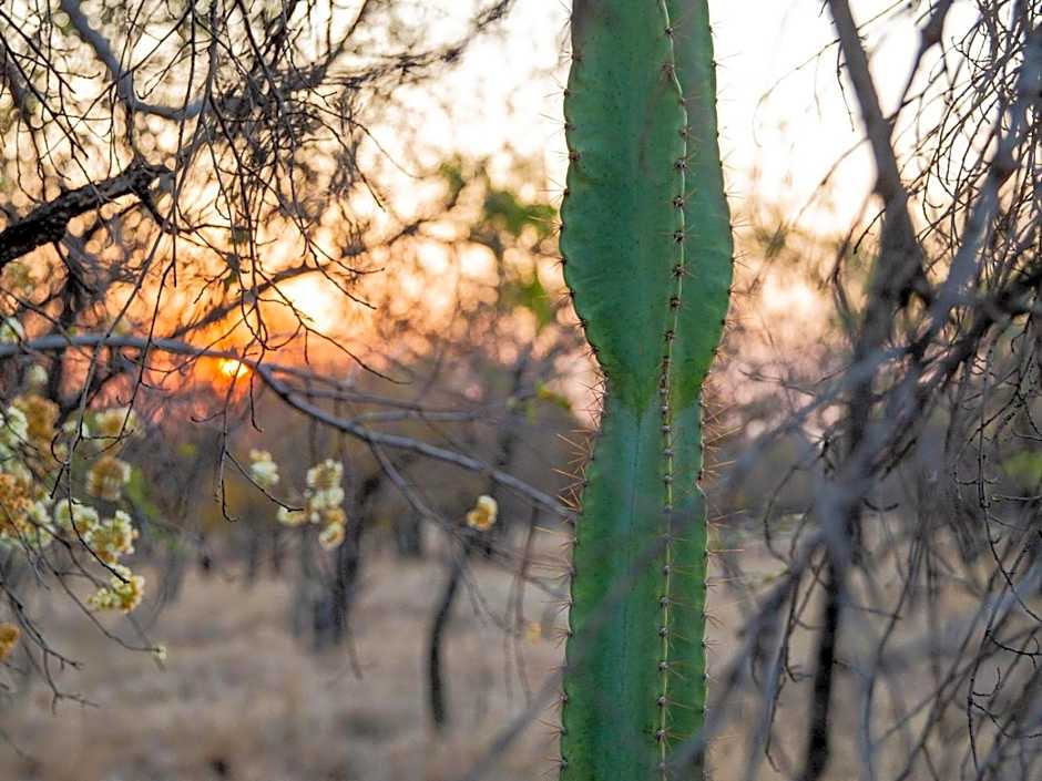 Minara Private Boutique Game Lodge