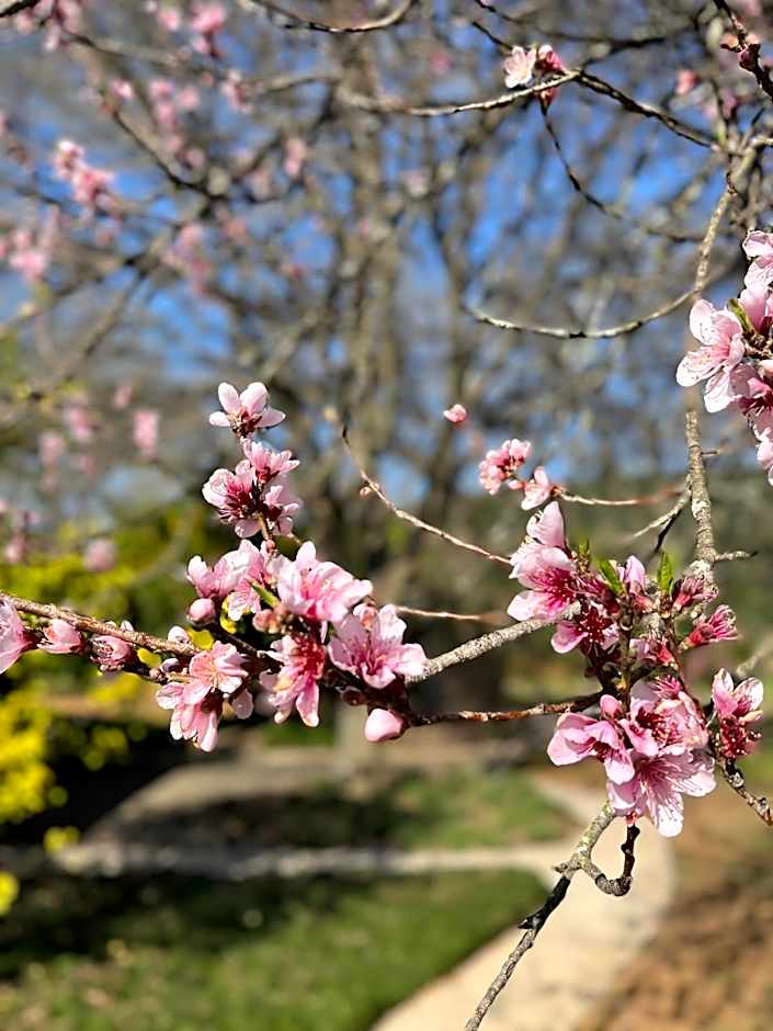 Gowan Valley Guest Farm