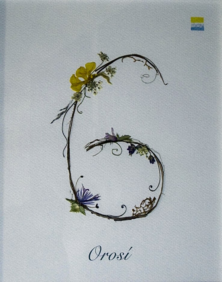 La Posada del Tiétar