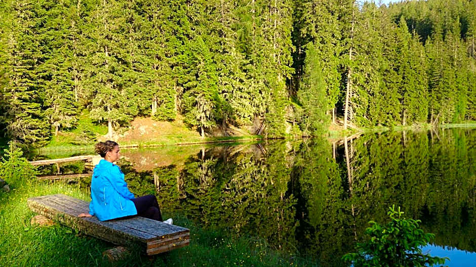 Alpengasthof Krische