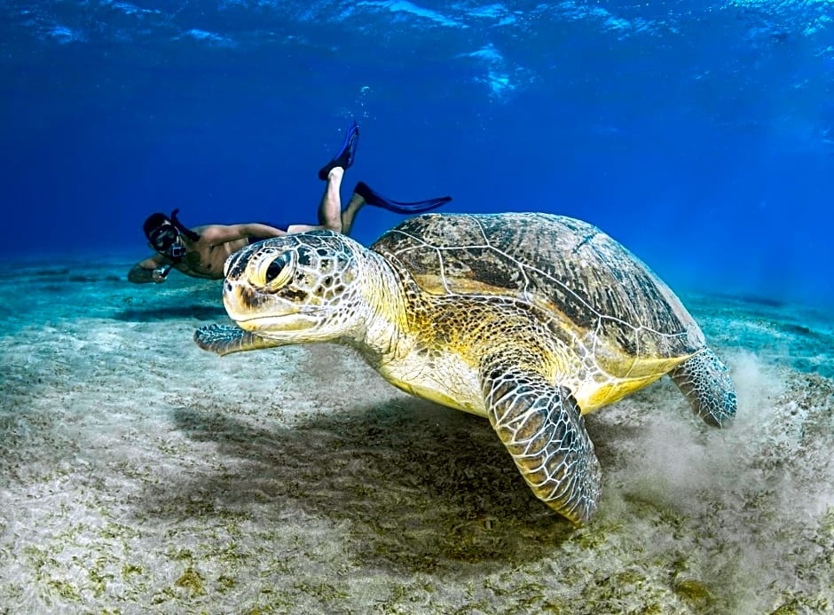 Marina view port ghalib