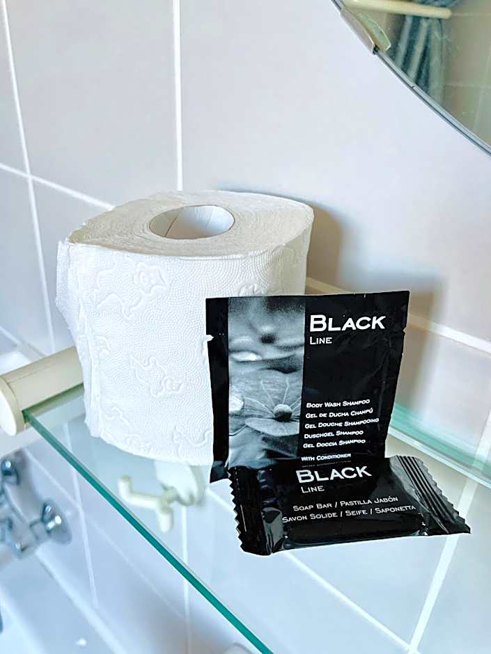 Appart'Hôtel - Au Vieux Palais