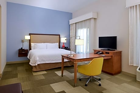 1 King Microwv/Fridge/Wet Bar Studio Suite Ns