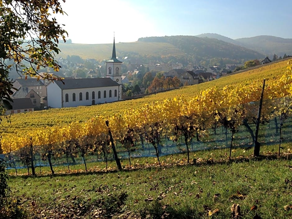 Chambres d'hôtes et Gîte chez Martine