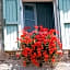 Gli Ulivi Bed & breakfast