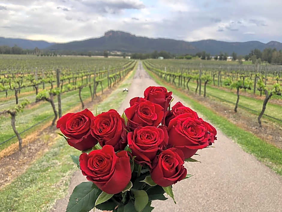 Nightingale Wines Luxury Villas