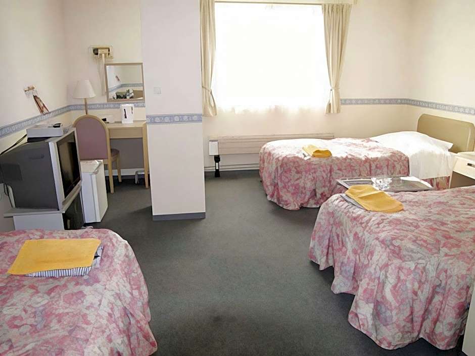 Business Hotel Motonakano