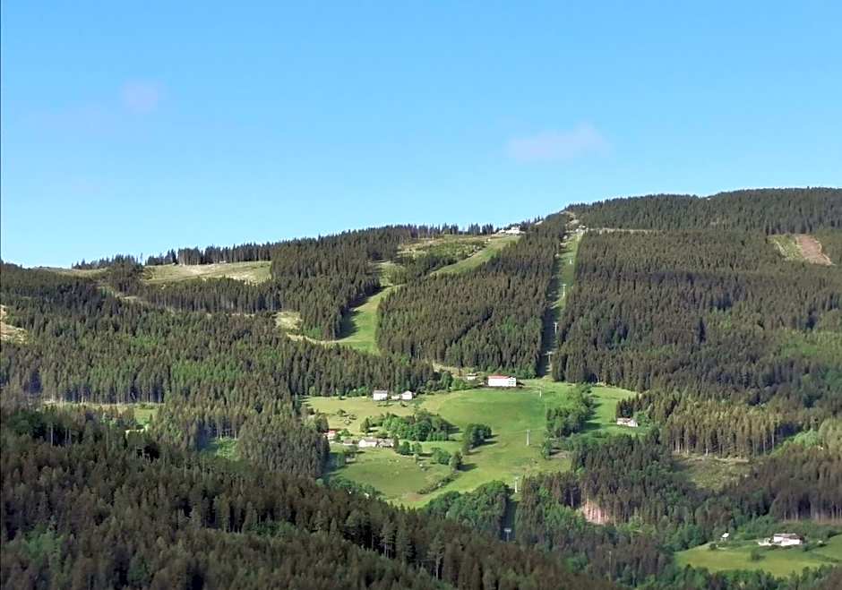 Alpengasthof Fernblick