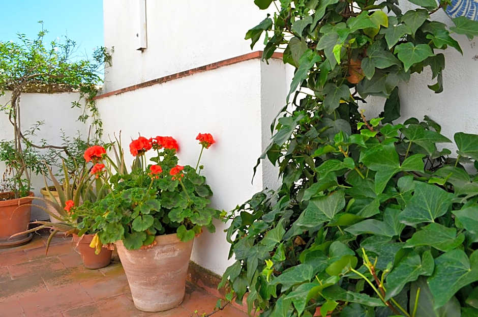 Santa Isabel La Real