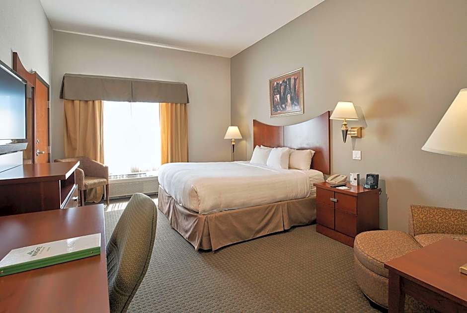 Wingate by Wyndham Chihuahua