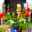 Riad dar Ourika & SPA