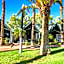 Desert Palms Alice Springs